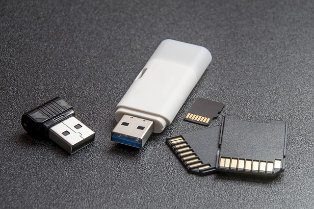 flash disky a paměťové karty patří do zip sáčků