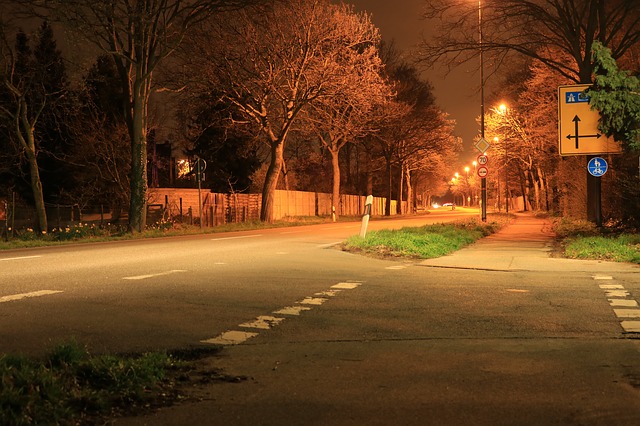 silnice osvětlená pouličními lampami